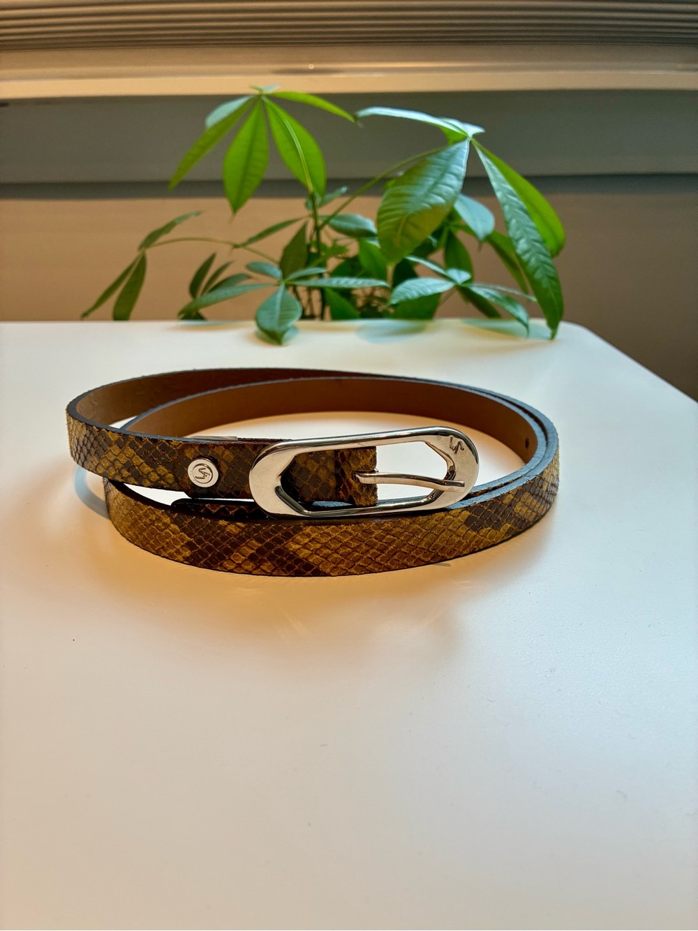 VELEZ Columbia Genuine Leather XL Snakeskin Python Print Belt Silver Buckle 46"